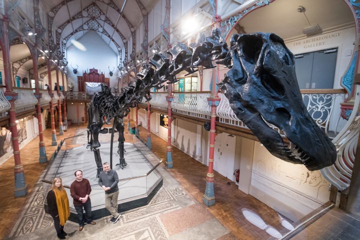 People look on at Dippy the dinosaur, a diplodocus skeleton on loan from the Natural History Museum at it is unveiled at Dorset County Museum on the first stage of an eight-stop tour of the UK on February 9, 2018 in Dorchester, Dorset.