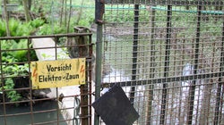 Rentner baut Selbstschussanlage in Garten – es kommt, was kommen musste