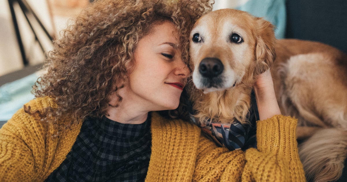 'Dogs Protect Humans From Other Humans. Humans Protect Dogs From Other