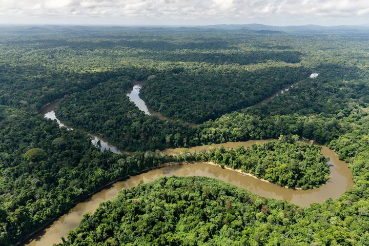 Aerial view of the Mana river in the Amazonian forest, on October 12, 2017, French Guyana. 
