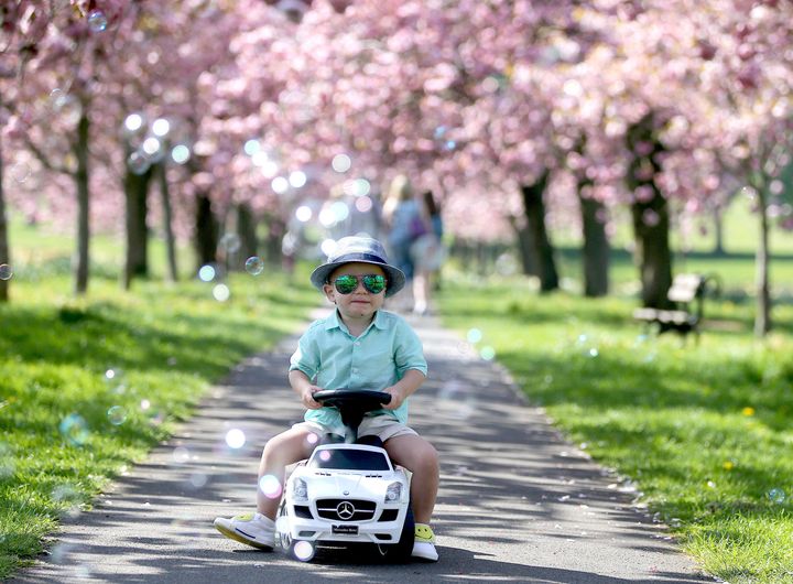 Philip Tokarcyk, aged two, enjoys the sunshine on the Stray in Harrogate.