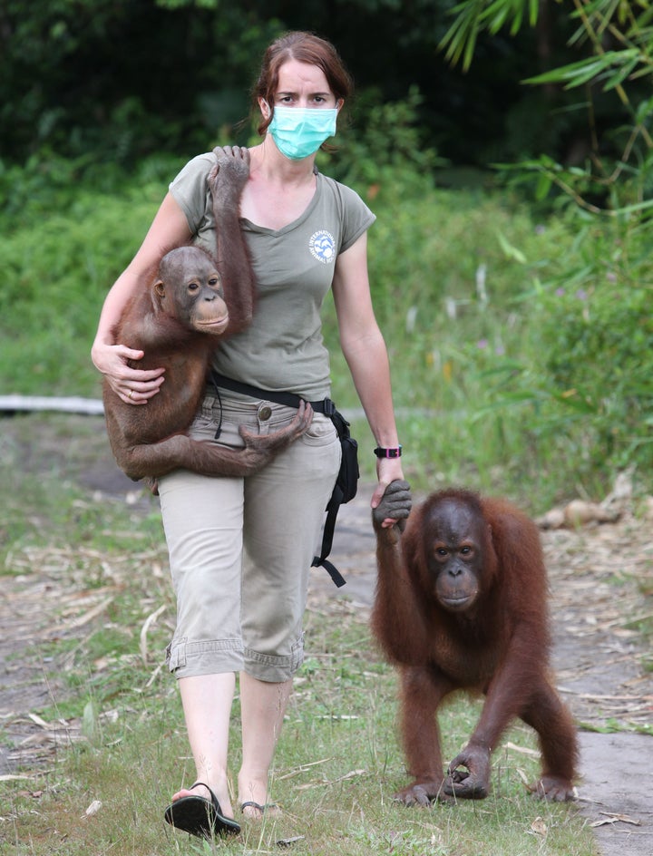 Dr. Karmele Llano Sanchez leads a team in Indonesia that rescues and rehabilitates orangutans, many of which have fallen victim to forest destruction driven by consumers' desire for palm oil.