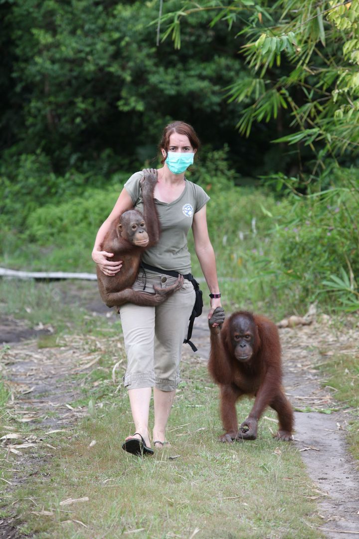 Dr. Karmele Llano Sanchez leads a team in Indonesia that rescues and rehabilitates orangutans, many of which have fallen victim to forest destruction driven by consumers' desire for palm oil.
