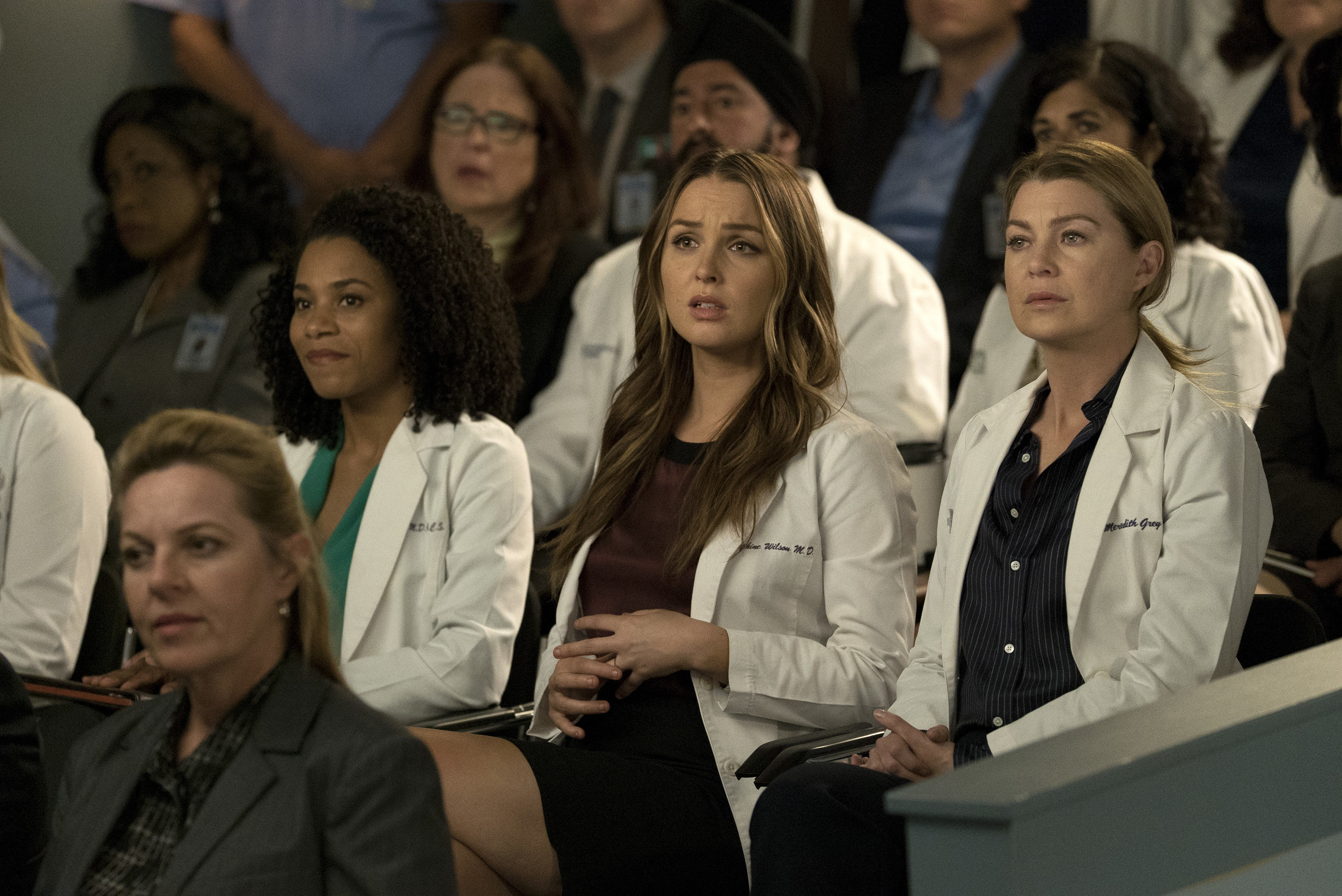 Medical Professionals Fact-Check Greys Anatomy Sex Scenes HuffPost Entertainment