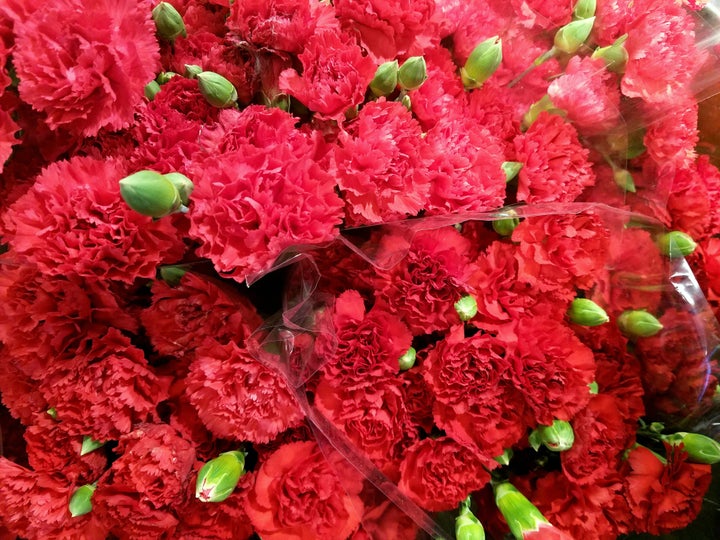 Red carnations tend to be the flower of choice for Mother's Day in Japan. 