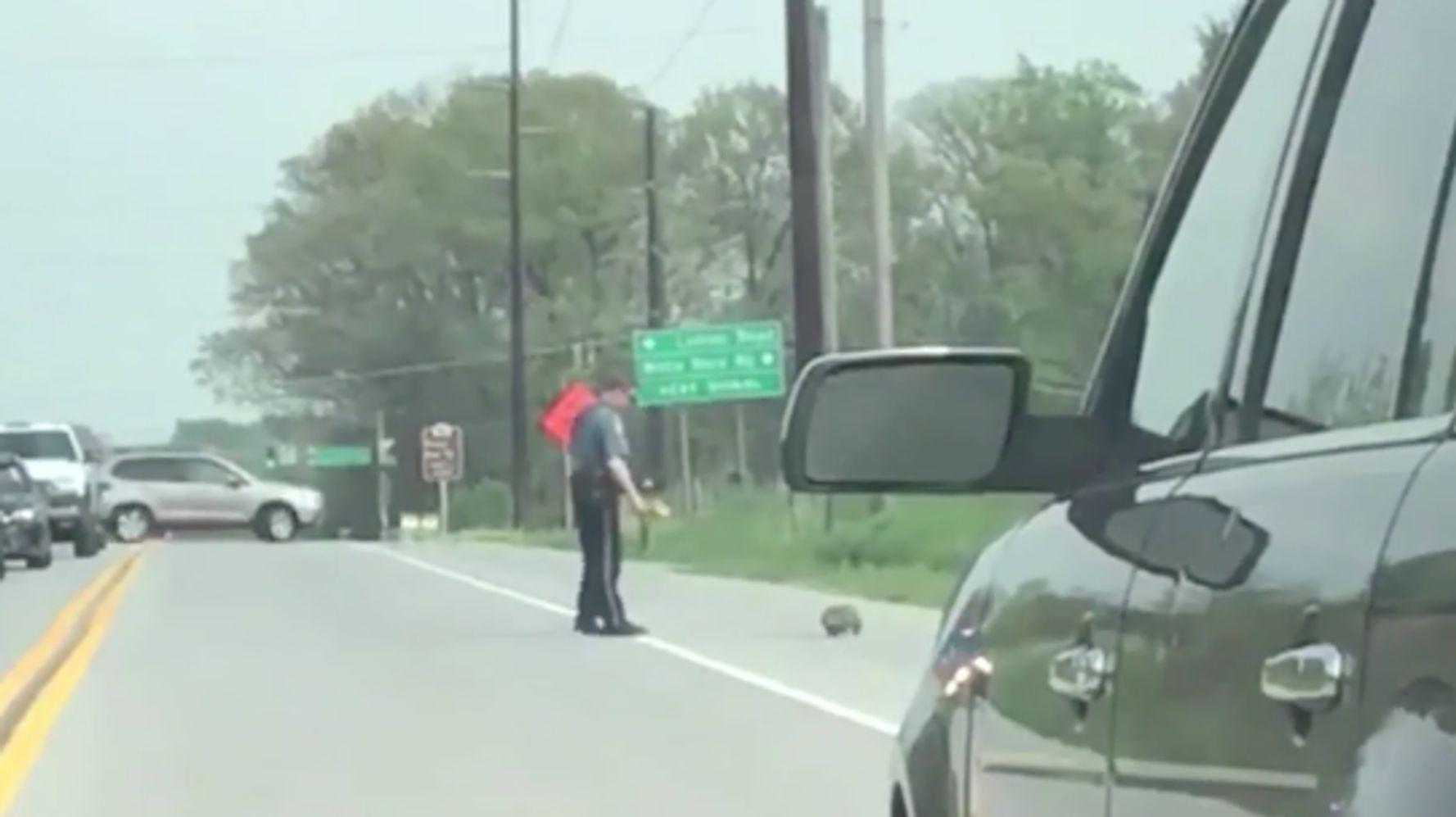 Video Shows Sheriff&#39;s Deputy Shooting Groundhog Blocking Traffic | HuffPost