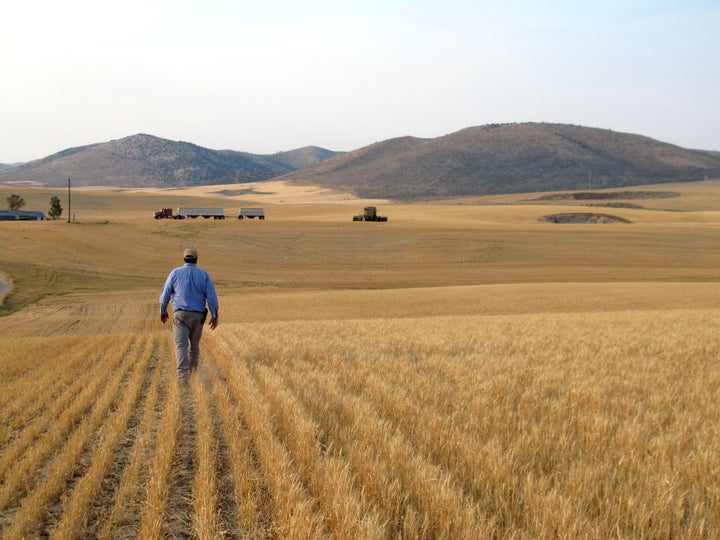 analysis: economy puts farmers at greater risk of suicide
