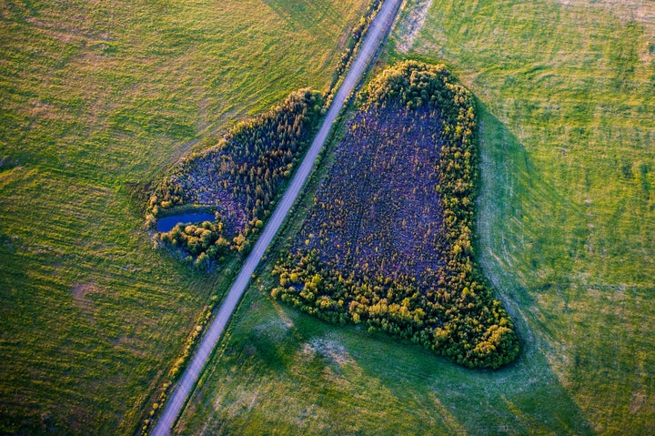 Aerial perspective of a road bisecting a forest near Stuart River, south of Stuart Lake, in British Columbia, Canada.