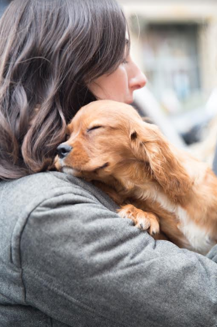 Homemade Dog Porn Lab - 24 Photos That Capture The Magic Of Dogs Finding Their ...