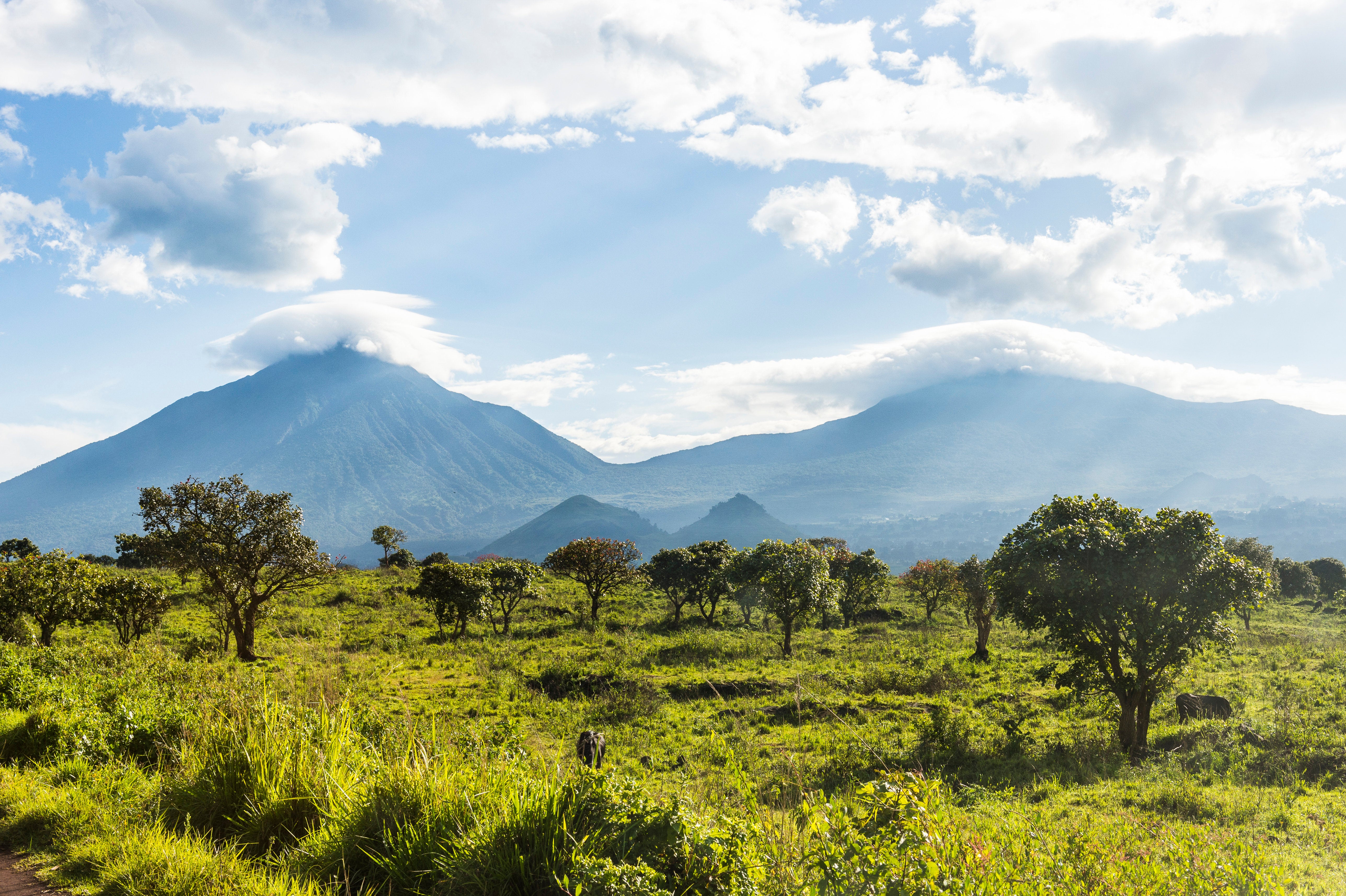 DR Congo: Foreign Office probes reports Britons kidnapped