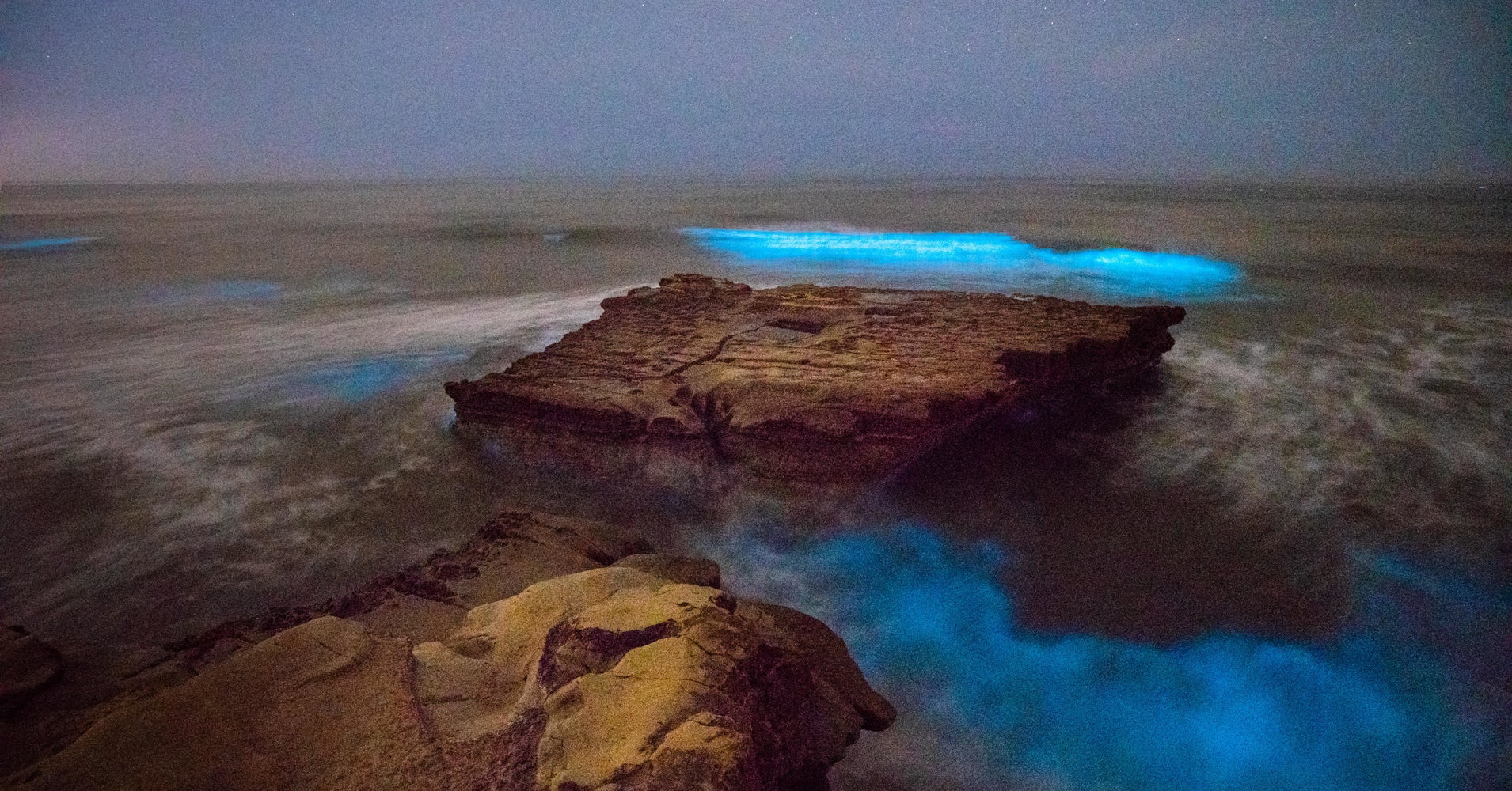 Red Tide Produces Gorgeous, Glowing Waves Off The California Coast | HuffPost Red Tide Produces Gorgeous, Glowing Waves Off The California Coast | HuffPost