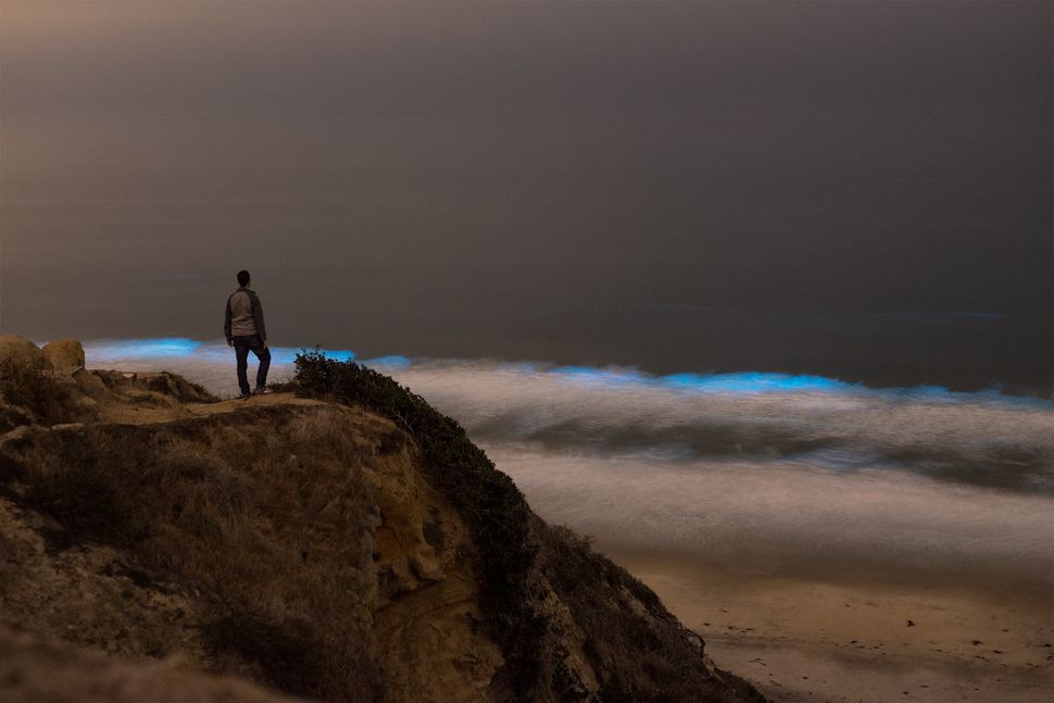 Red Tide Produces Gorgeous, Glowing Waves Off The California Coast ...
