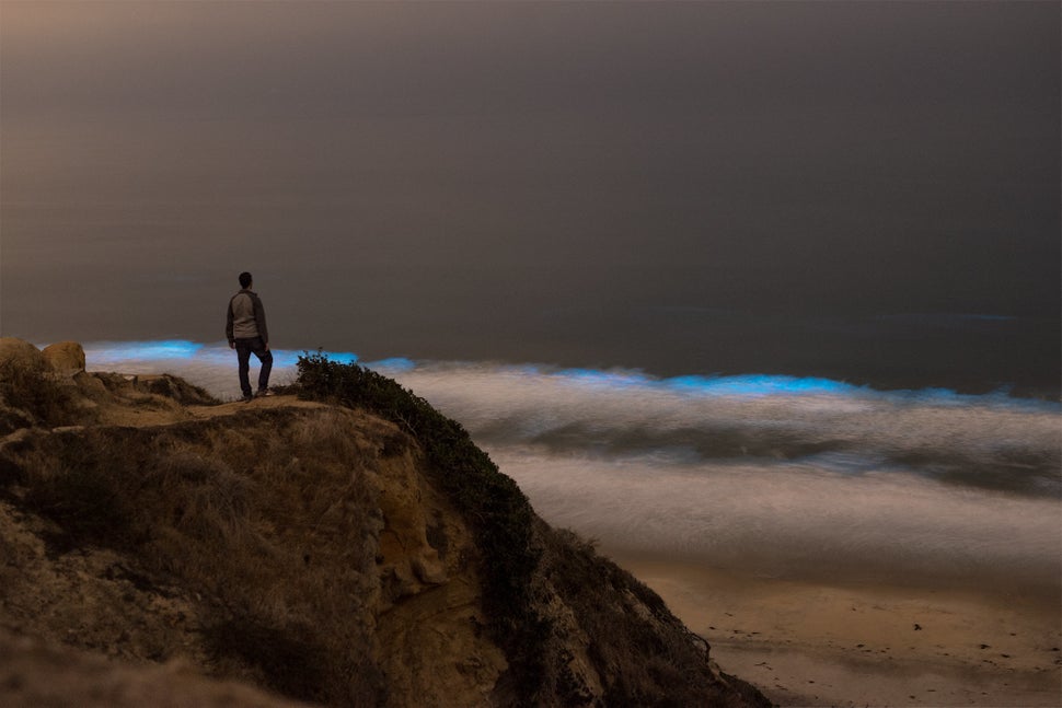 Red Tide Produces Glowing Waves Off The California Coast