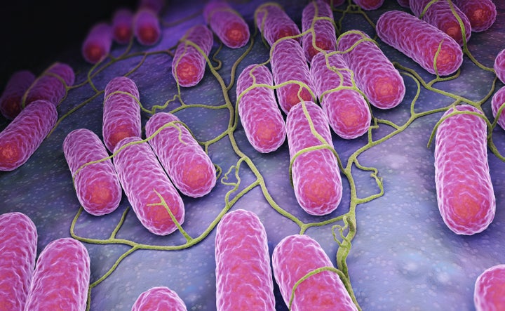 The highest number of salmonella outbreaks have occurred in New York and Virginia.