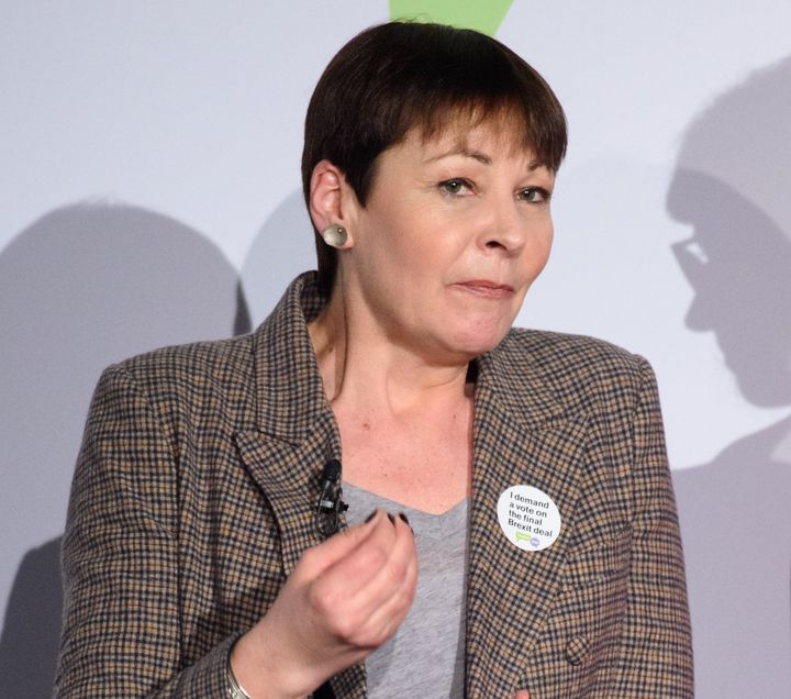 Green co-leader Caroline Lucas said May's meeting with Erdogan was the 'obvious opportunity' 