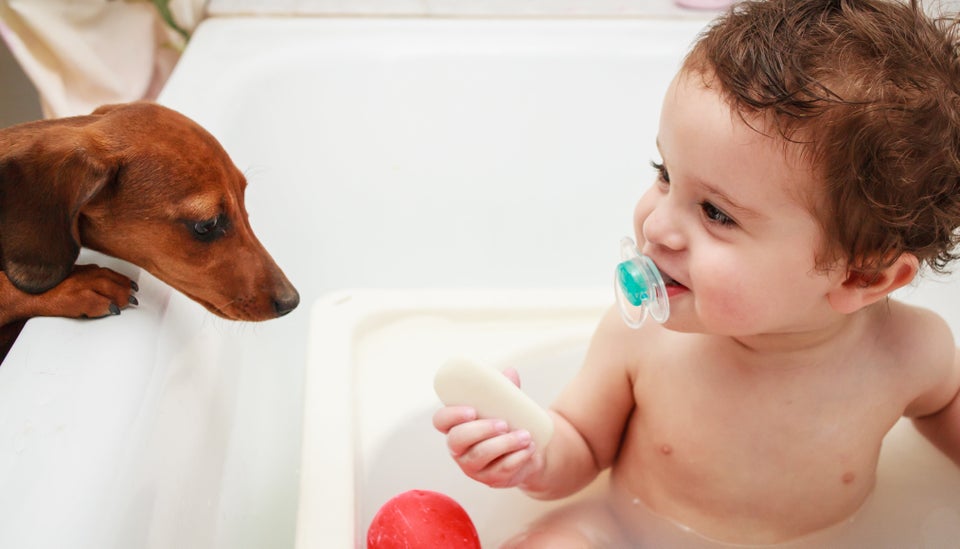 35 Adorable Photos Of Dogs And Babies Just Because | HuffPost Life