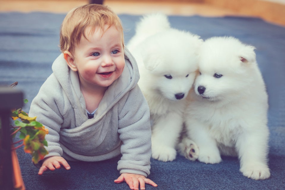 35 Adorable Photos Of Dogs And Babies Just Because | HuffPost Life