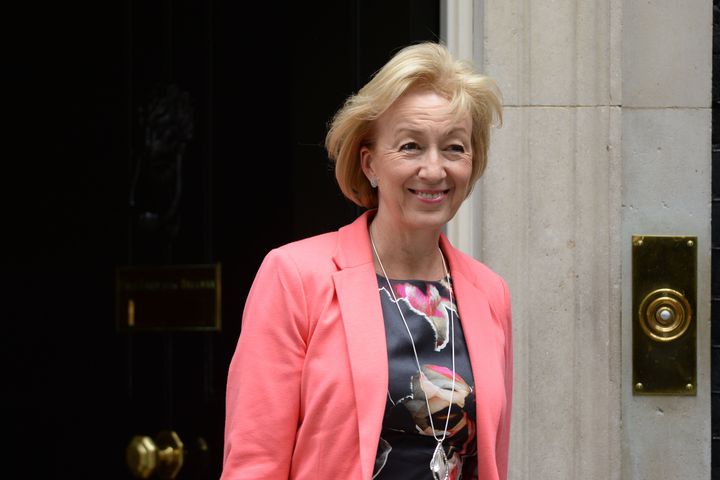 Leader of the Commons, Andrea Leadsom.