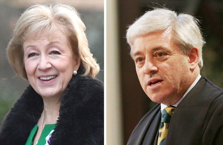 John Bercow reportedly called Commons leader Andrea Leadsom a 'stupid woman'