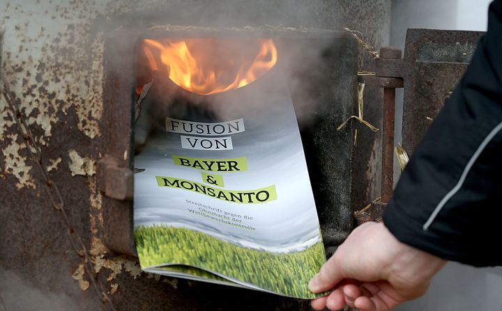 A protestor burns a leaflet during a demonstration in Bonn, Germany, against the merger between seed company Monsanto and pharmaceutical company Bayer.
