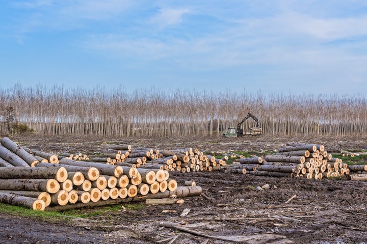 One-third of the world’s protected land is suffering from human activity.