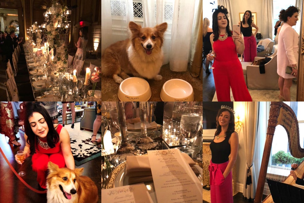 Some snapshots from The Plaza's royal wedding rehearsal dinner. Corgis! Menus! Harps! Flowers! Gauche mirror selfies! 