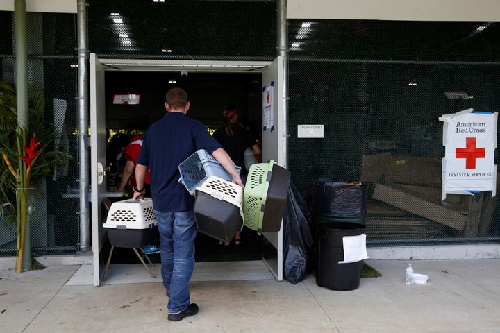 A volunteer delivers pet supplies to an evacuation center in Pahoa available to residents of the Puna communities of Leilani Estates and Lanipuna Gardens forced to leave their homes when the Kilauea Volcano erupted.