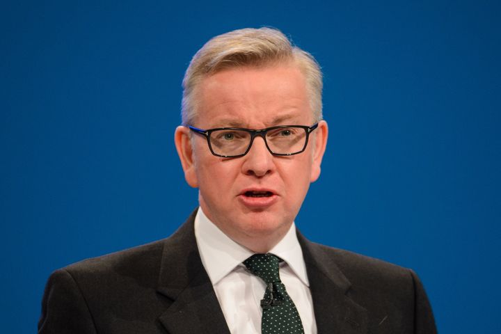 Environment secretary Michael Gove