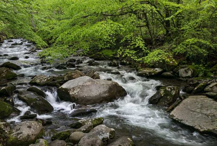 National Parks Report On Climate Change Finally Released, Uncensored ...