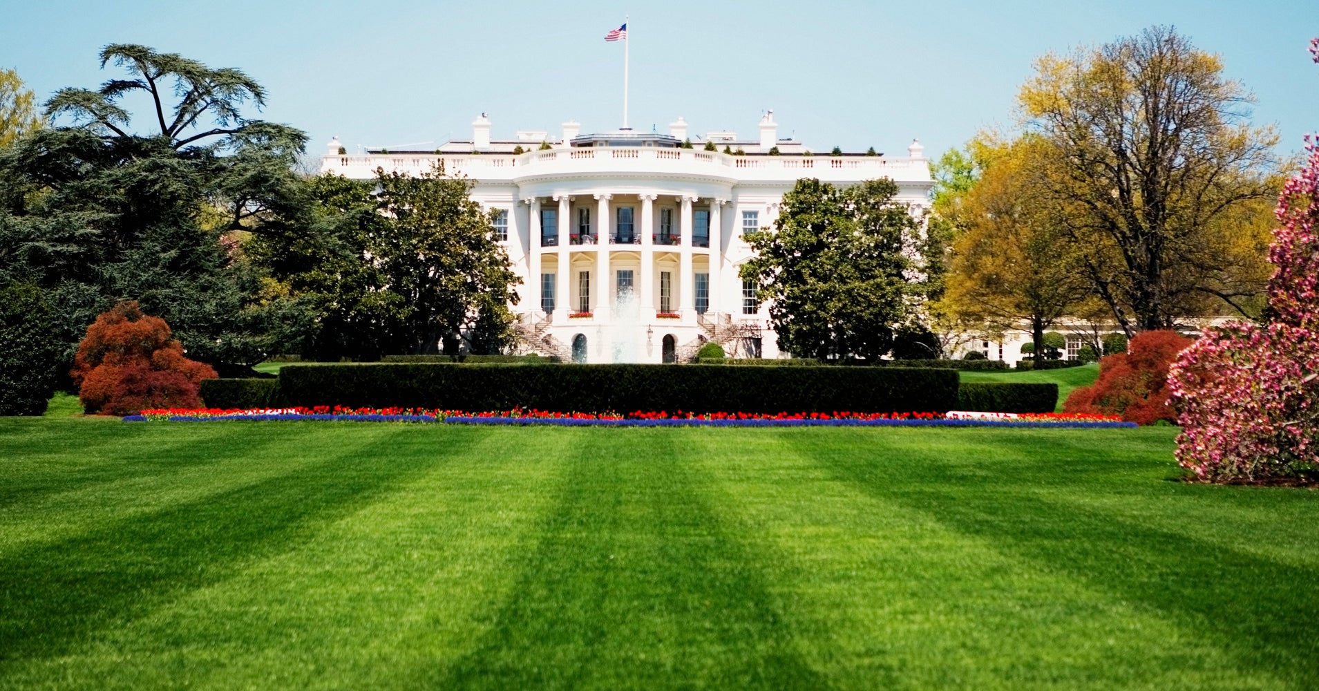 White House Sinkhole Probably Metaphor For Something ...