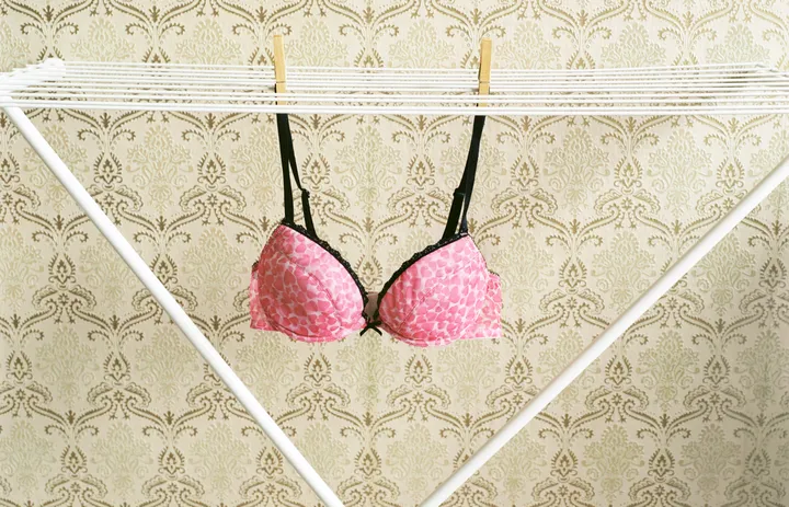 The 7 Laundry Mistakes You're Making With Bras And Underwear