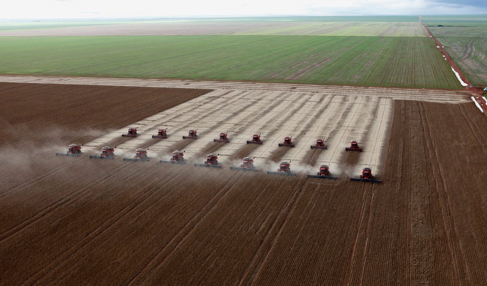 Workers harvesting soybeans in Cuiaba, Brazil. Intensive monoculture farming — growing a single crop over a large 