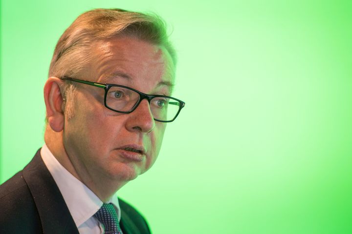 Environment Secretary Michael Gove has been pushing forward a green agenda in Government