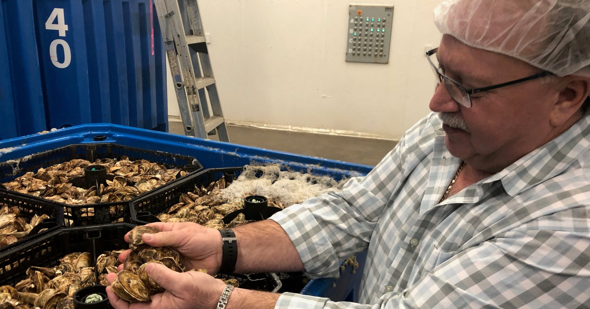 With Its Way Of Life At Risk, This Remote OysterGrowing Region Called