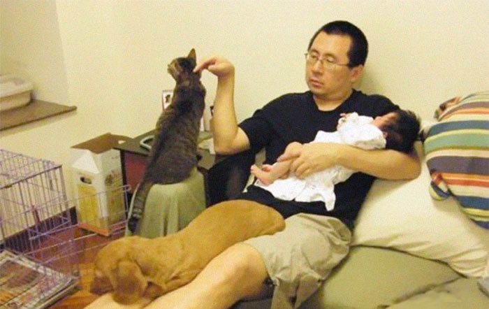 2008년 