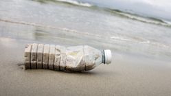 Is Your Beach Full Of Rubbish? Here's What You Can Do About It