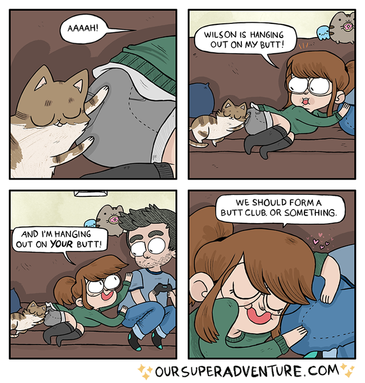 What It S Like Living With Cats As Explained In 16 Purr Fect Comics Huffpost Life