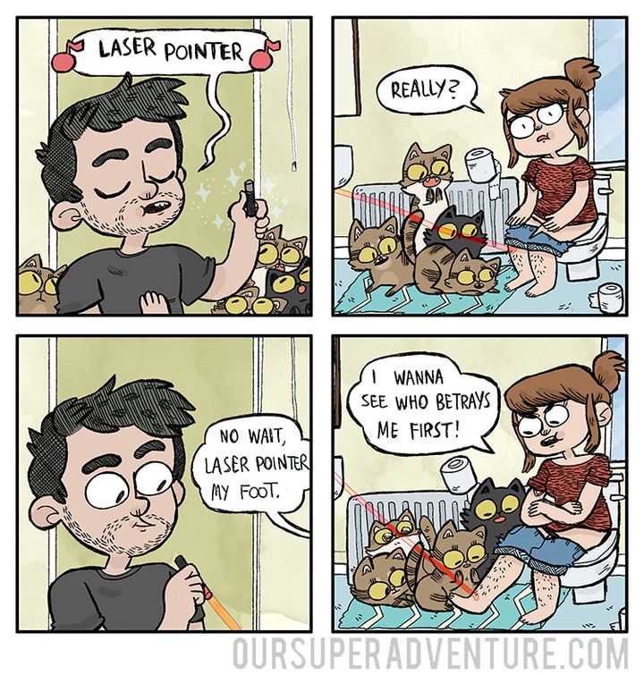 What It's Like Living With Cats, As Explained In 16 Purr-fect Comics ...
