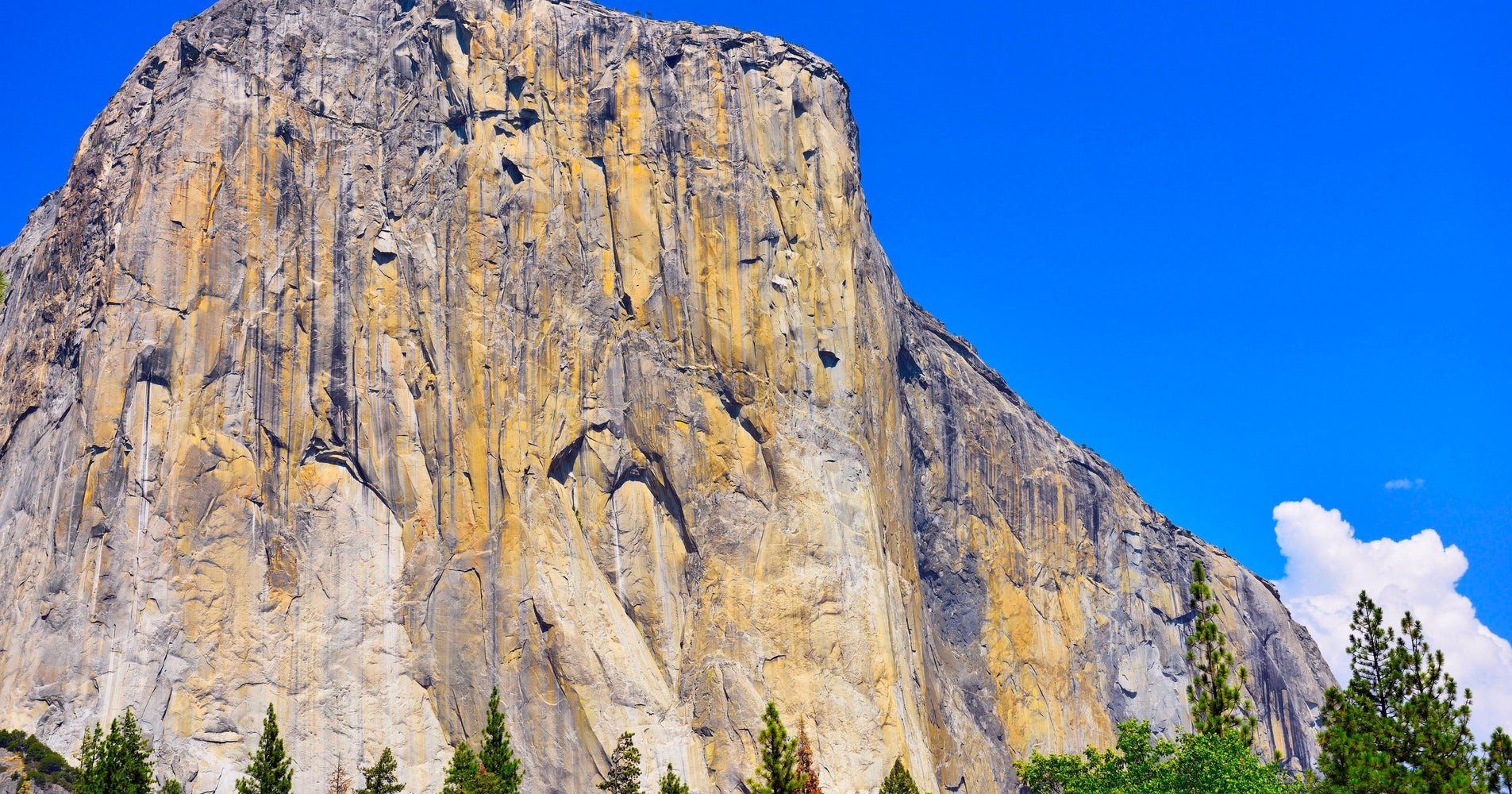 Open Transport For El Capitan Open Transport For El Capitan