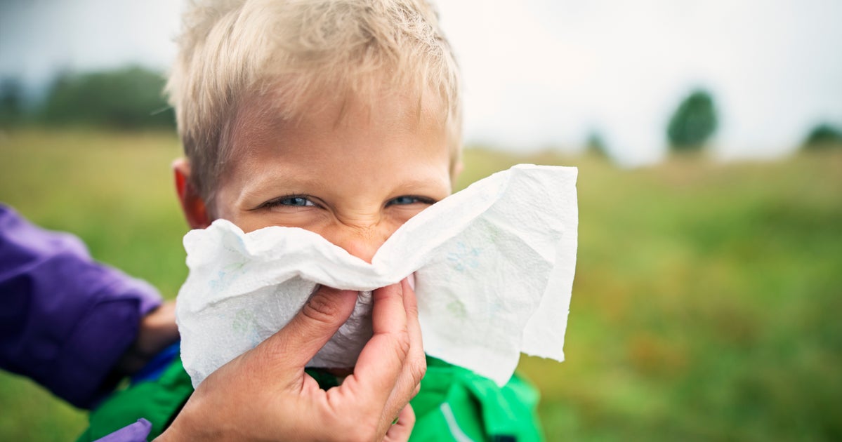 UK Pollen Count Forecast Sees Red Warnings Issued For England And Wales