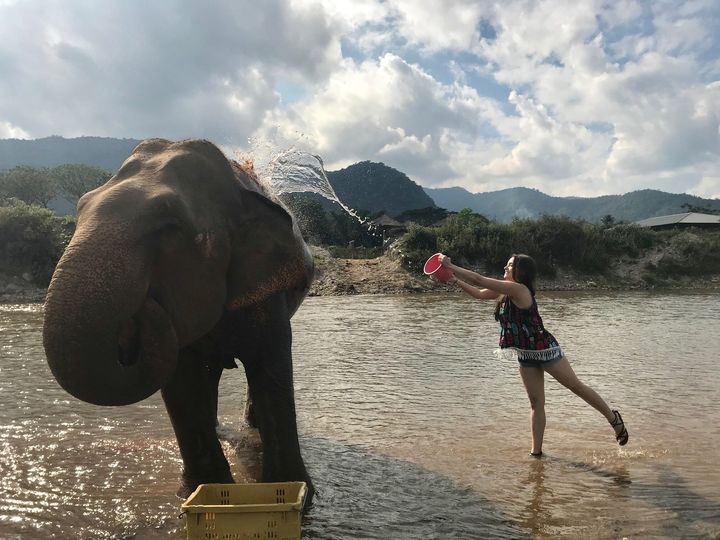 Visiting Elephant Nature Park in Chiang Mai, Thailand