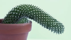 Estas son las ocho preguntas sobre sexo que más se hacen en