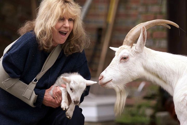 TV scriptwriter Carla Lane at her animal sanctuary in Horsted Keynes, West Sussex.