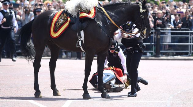 Field Marshal Lord Guthrie of Craigiebank required medical attention after being thrown from his horse during the Trooping the Colour ceremony