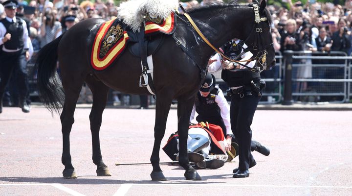Field Marshal Lord Guthrie of Craigiebank required medical attention after being thrown from his horse during the Trooping the Colour ceremony