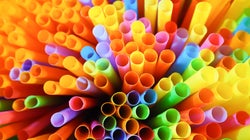 Wir müssen endlich aufhören, so zu tun, als würde ein Verbot von Plastiktüten die Welt
