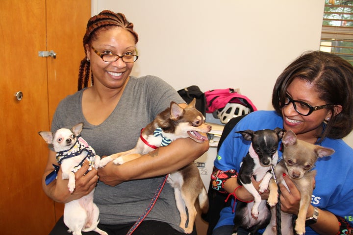 Cousins Stacey Jackson, left, and Sharon Hayes with Chihuahuas Bella, Snoopy, Chloe and Eleven at a nursing home on Chicago's North Side, where every week volunteers bring dogs to socialize with residents.