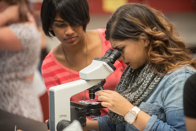 Losing focus: even girls who excel at science and maths at school opt for non-STEM subjects at university. 