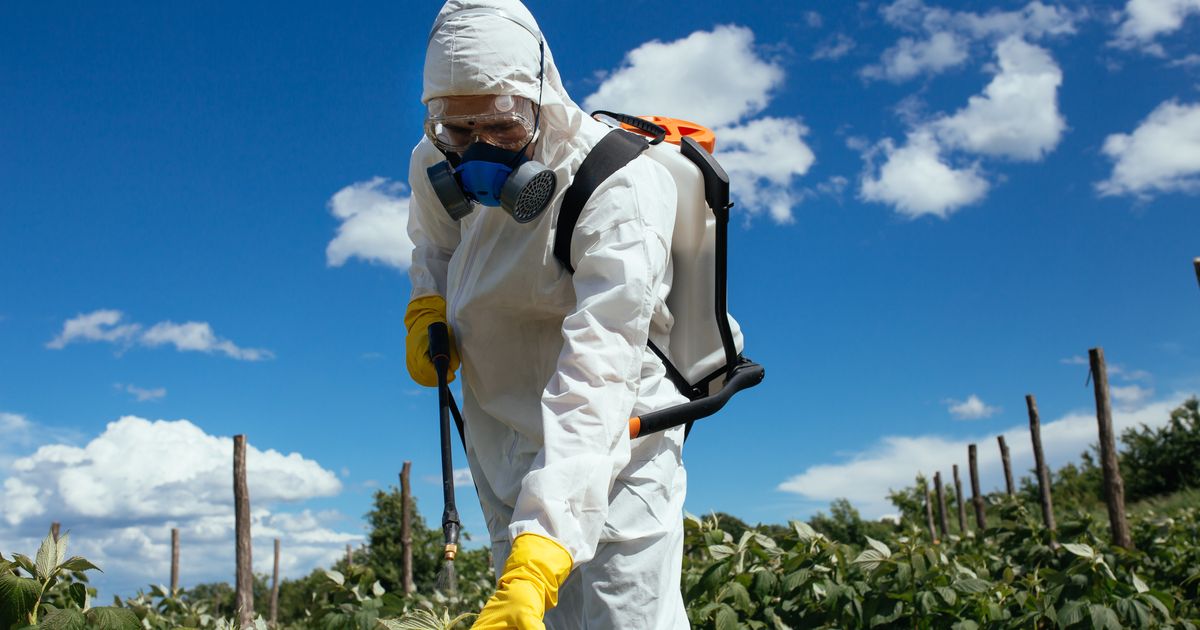 Пестициды и химические удобрения. Пестициды. Химикаты в сельском хозяйстве. Пестициды в сельском хозяйстве. Пестициды и гербициды.
