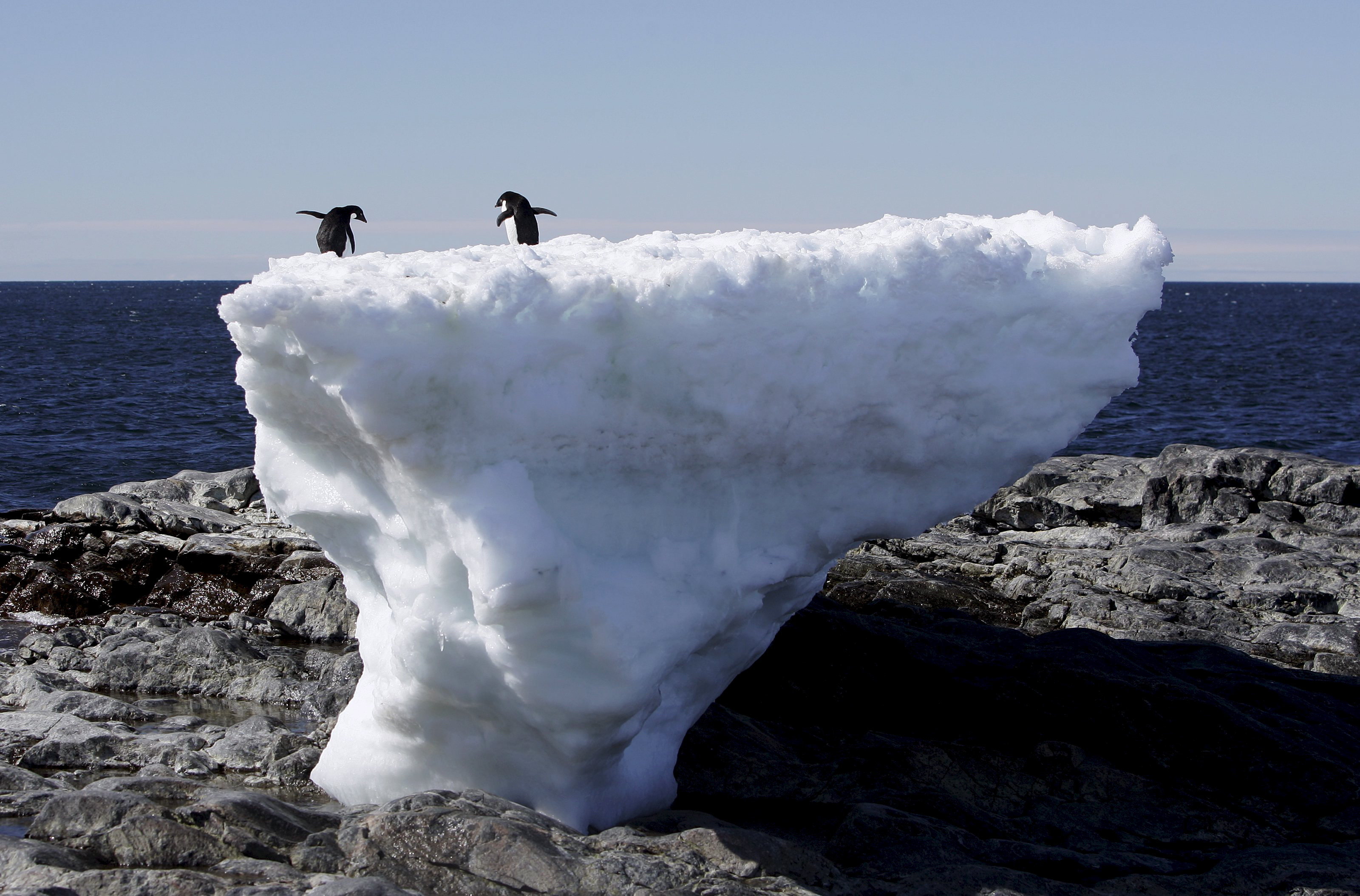 antarctic ice melting faster doomsday vault
